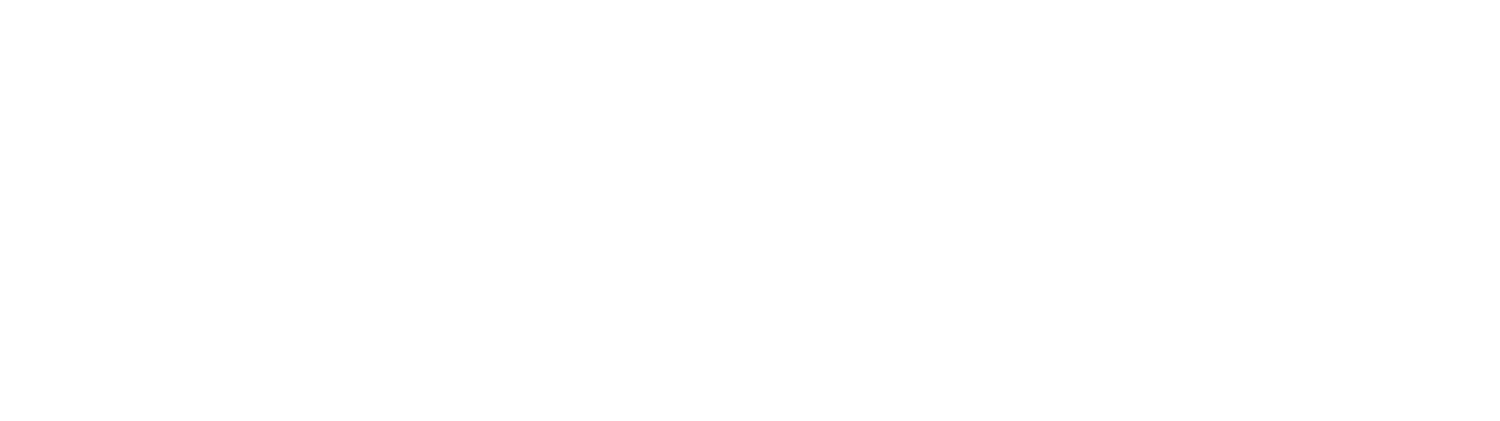 LADDER_Logo+variations-horizontal+(color)+(1)